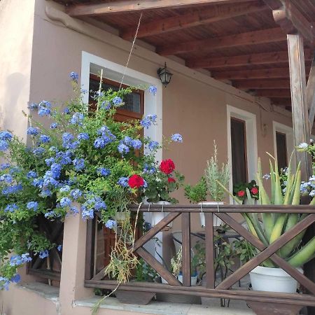 Theologos  Plumbago Apartment מראה חיצוני תמונה